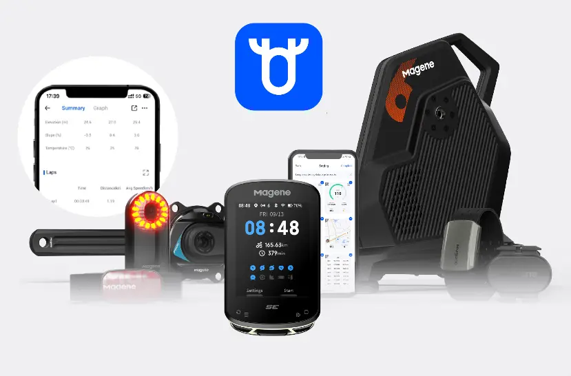 Captura de pantalla 2024-12-02 171352.webp