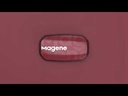 Magene BANDA CARDIACA H603